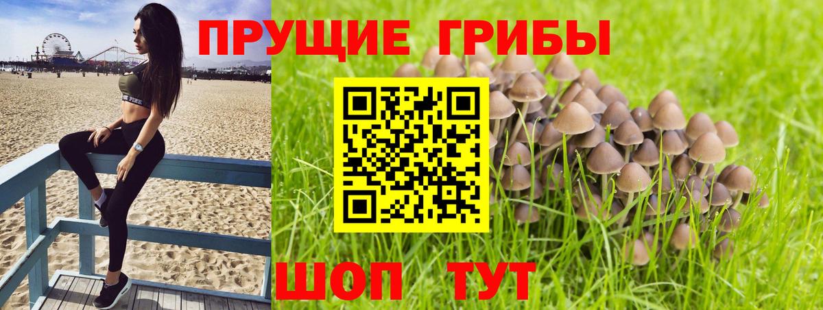 Амфетамин Керчь